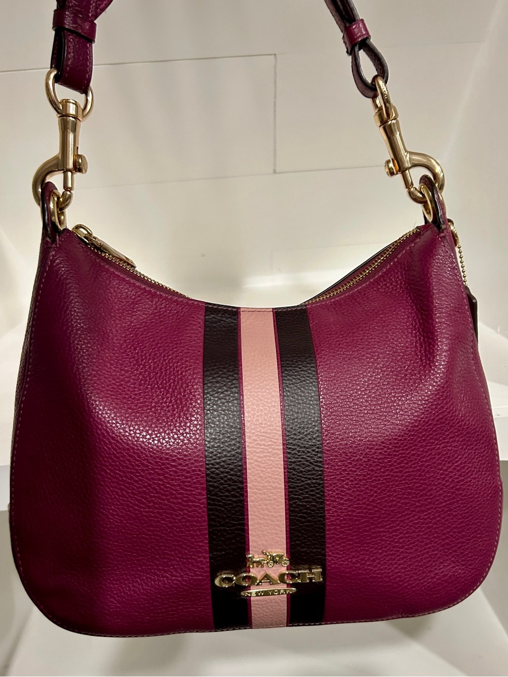Coach Jes Hobo Bag with Varsity Stripe (Style: F80643)